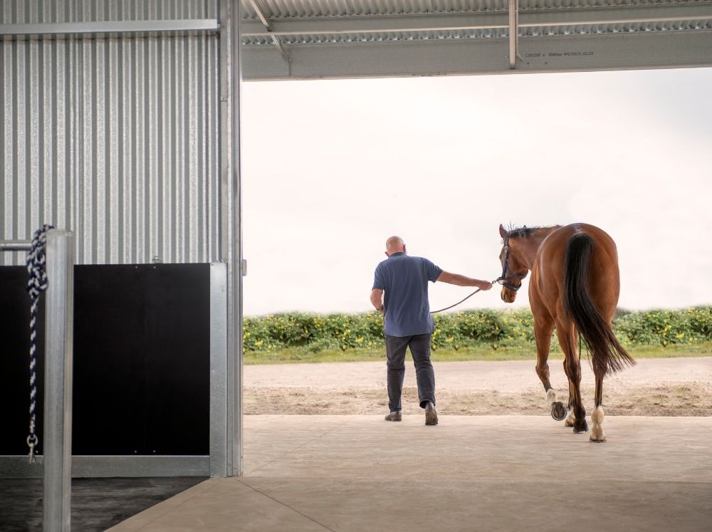 Stables Project Shed Equestrian